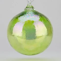 Transparent Evergreen