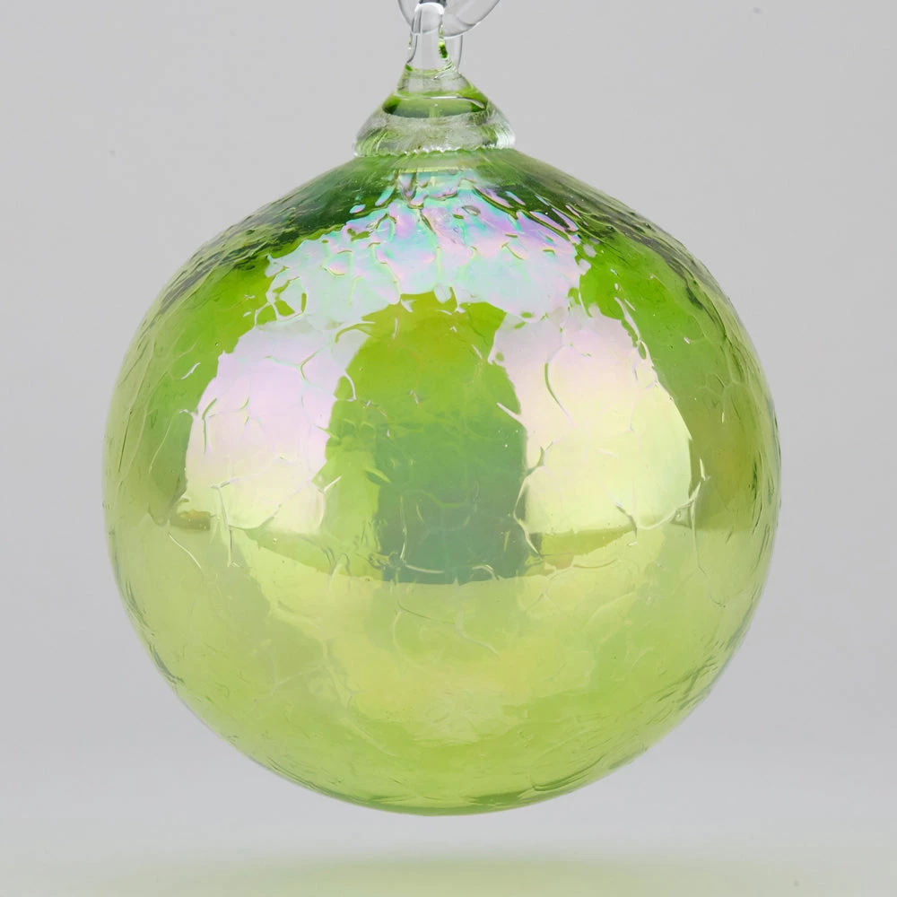 Transparent Evergreen 3 Transparent Evergreen